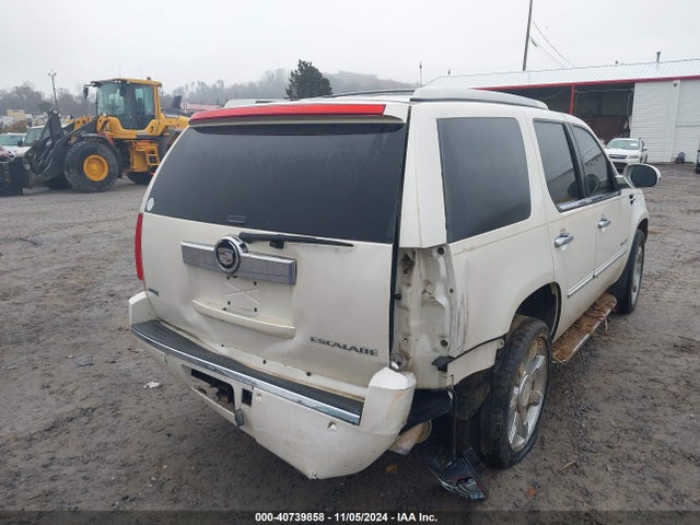 2010 CADILLAC ESCALADE 1GYUKAEF0AR254734 Photo 3