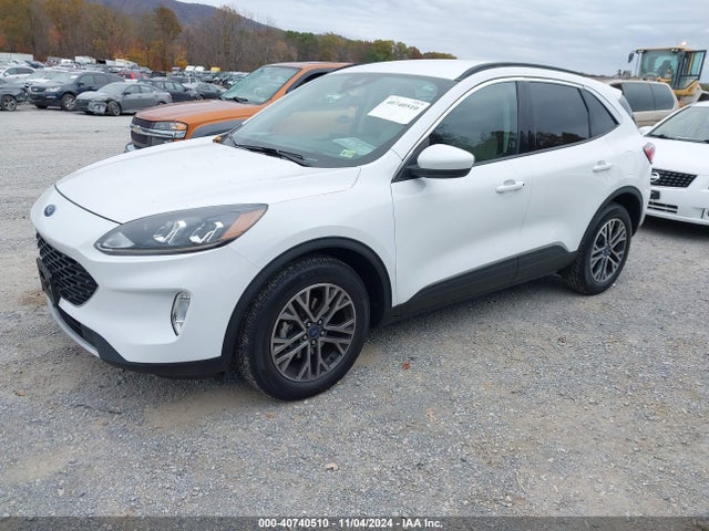 Ford ESCAPE SEL 2020 1FMCU9H64LUA82483 Image 2