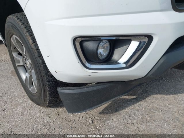 1GCGTDEN9L1100324 Chevrolet Colorado 4wd  Short Box Z71