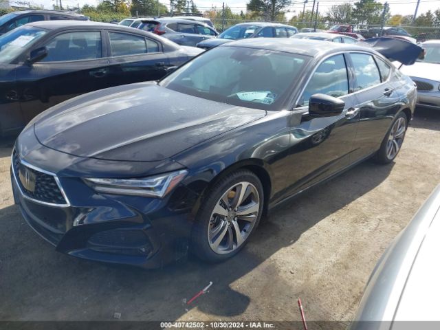 19UUB6F62PA001425 Acura Tlx Advance Package