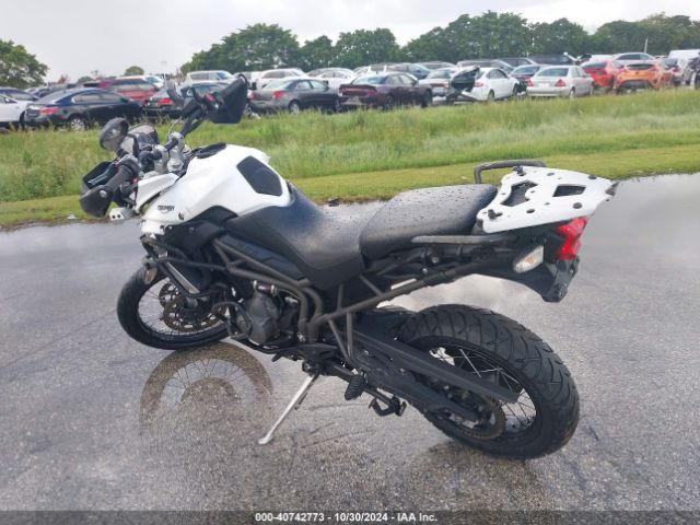 2019 TRIUMPH MOTORCYCLE TIGER SMTE09BF7KT915748 Photo 2