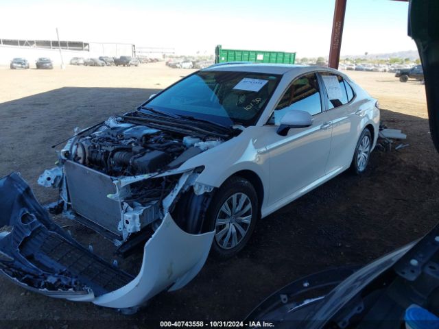 4T1C31AKXLU524615 Toyota Camry Le Hybrid