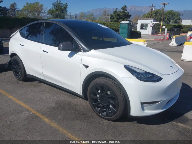2021 TESLA MODEL Y 5YJYGDEE5MF228979 Photo 0