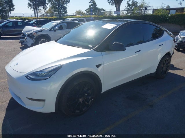 2021 TESLA MODEL Y 5YJYGDEE5MF228979 Photo 1