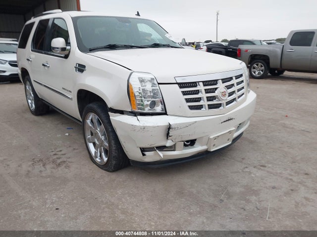 2011 CADILLAC ESCALADE 1GYS3CEF3BR187161 Photo 5