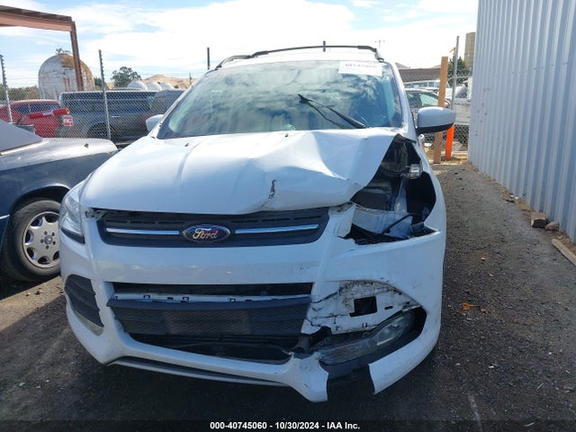Ford ESCAPE SE 2016 1FMCU9G93GUB39127 Image 13