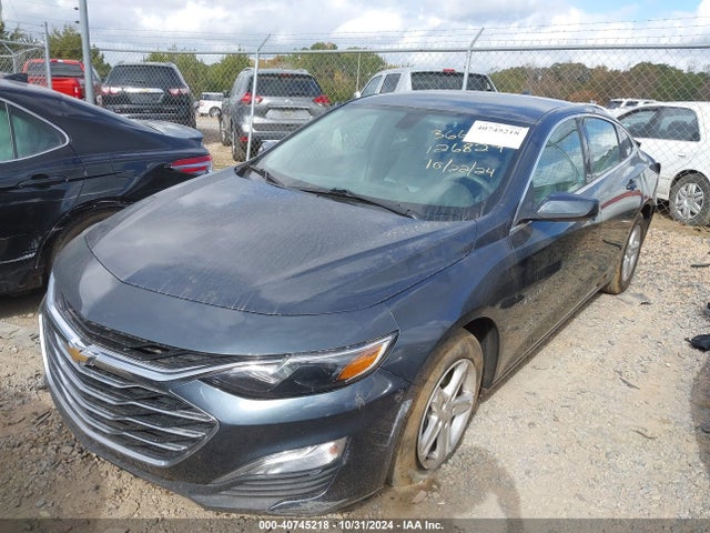 Chevrolet Malibu 1fl 2019 1G1ZC5STXKF126829 Image 2