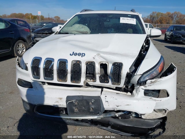 Jeep Cherokee Limited 4x4 2018 1C4PJMDX3JD521248 Image 6
