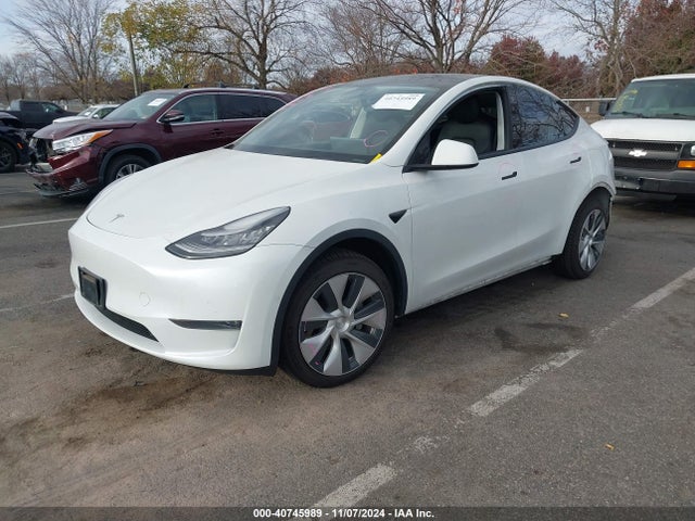 2021 TESLA MODEL Y 5YJYGDEEXMF083289 Photo 1
