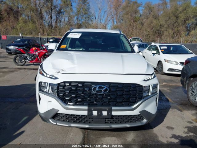 5NMS2DAJ1PH546009 Hyundai Santa Fe Sel