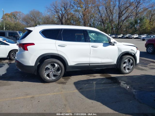 5NMS2DAJ1PH546009 Hyundai Santa Fe Sel