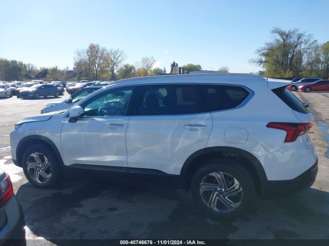 5NMS2DAJ1PH546009 Hyundai Santa Fe Sel