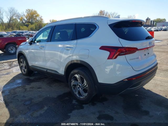 5NMS2DAJ1PH546009 Hyundai Santa Fe Sel