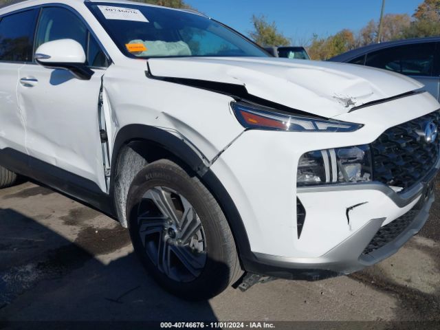5NMS2DAJ1PH546009 Hyundai Santa Fe Sel