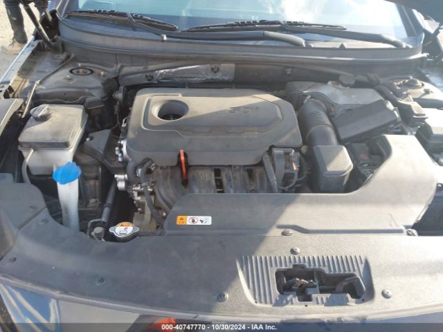 5NPE24AF1GH291549 Hyundai SONATA SE