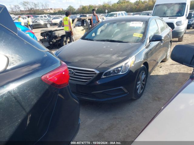 5NPE24AF1GH291549 Hyundai SONATA SE