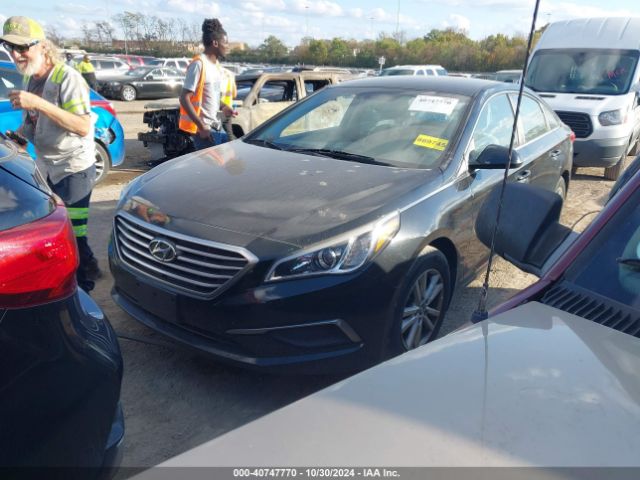 5NPE24AF1GH291549 Hyundai SONATA SE
