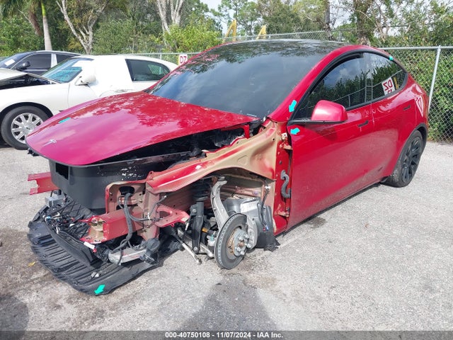 2023 TESLA MODEL Y 7SAYGDEE1PA146297 Photo 1