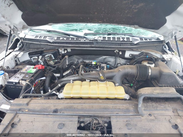 Ford F-150 Xlt 2019 1FTEW1EP4KKD28948 Image 10