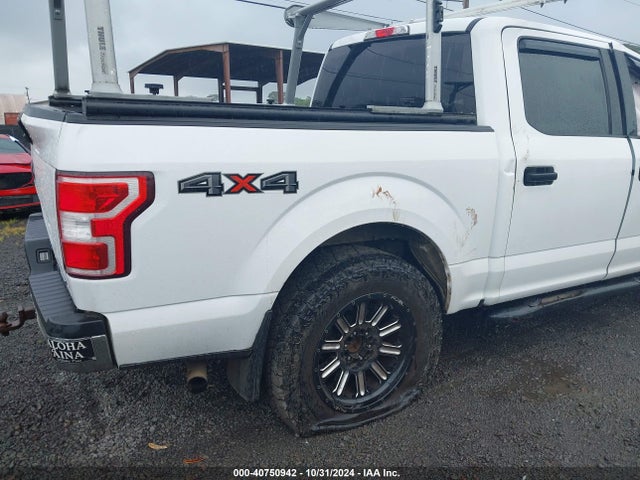 Ford F-150 Xlt 2019 1FTEW1EP4KKD28948 Image 14