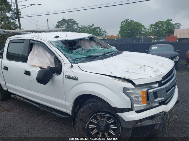 Ford F-150 Xlt 2019 1FTEW1EP4KKD28948 Image 15