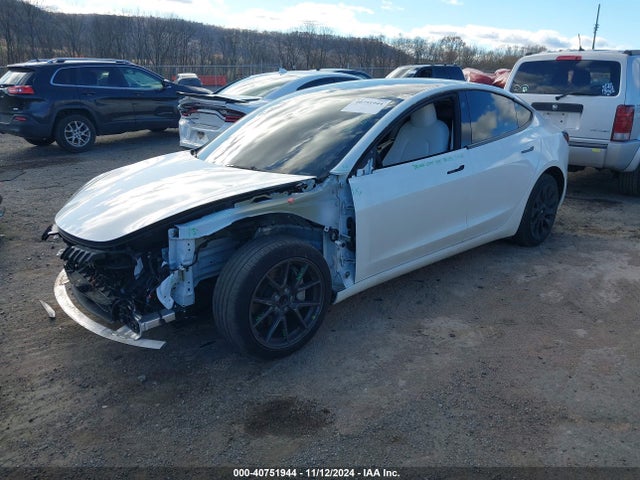 2023 TESLA MODEL 3 5YJ3E1EA2PF544176 Photo 1