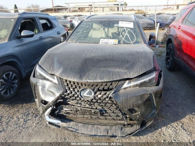 JTHX6JBH9P2137537 Lexus UX 250H