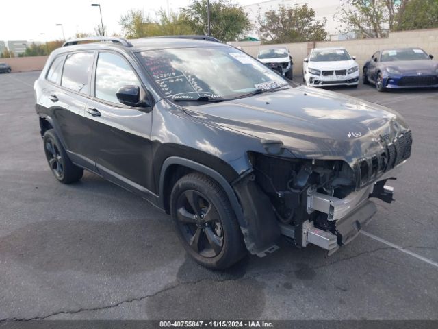 1C4PJLLB0LD530217 auction archive image