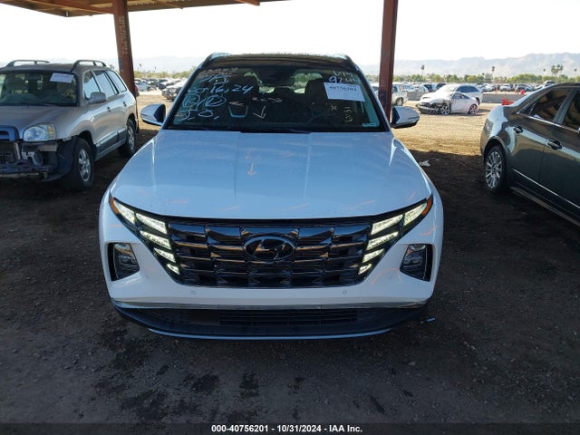 Hyundai Tucson Limited 2024 5NMJECDE7RH319244 Image 12