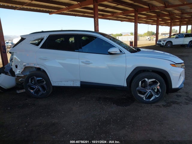 Hyundai Tucson Limited 2024 5NMJECDE7RH319244 Image 13