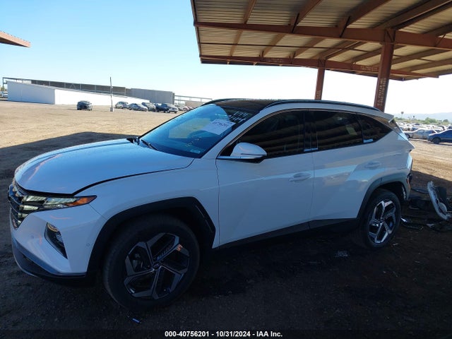Hyundai Tucson Limited 2024 5NMJECDE7RH319244 Image 14