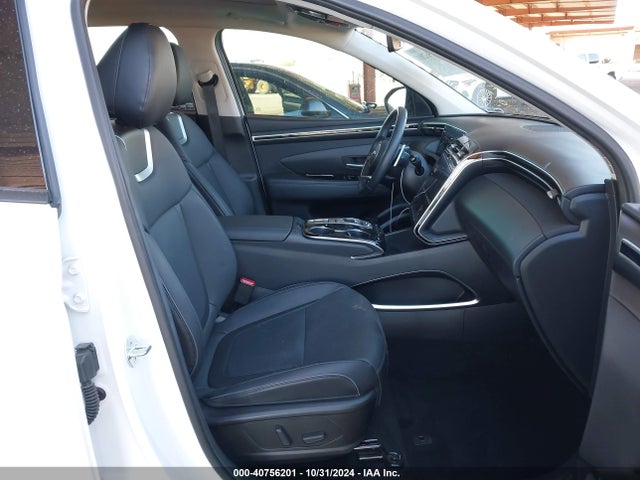 Hyundai Tucson Limited 2024 5NMJECDE7RH319244 Image 5