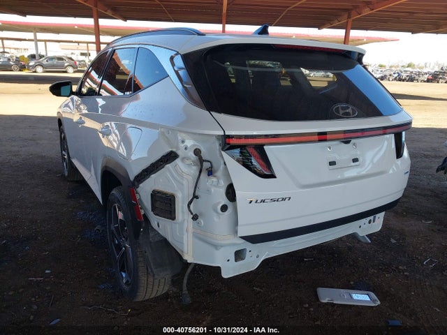 Hyundai Tucson Limited 2024 5NMJECDE7RH319244 Image 6