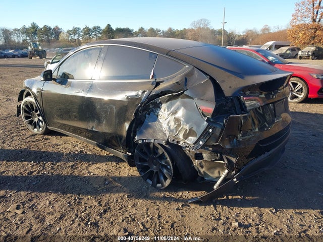2023 TESLA MODEL Y 7SAYGDEE5PA184972 Photo 2