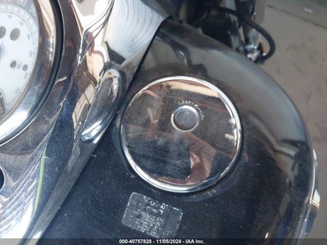 2006 KAWASAKI VN1600 JKBVNKA196A020055 Photo 10