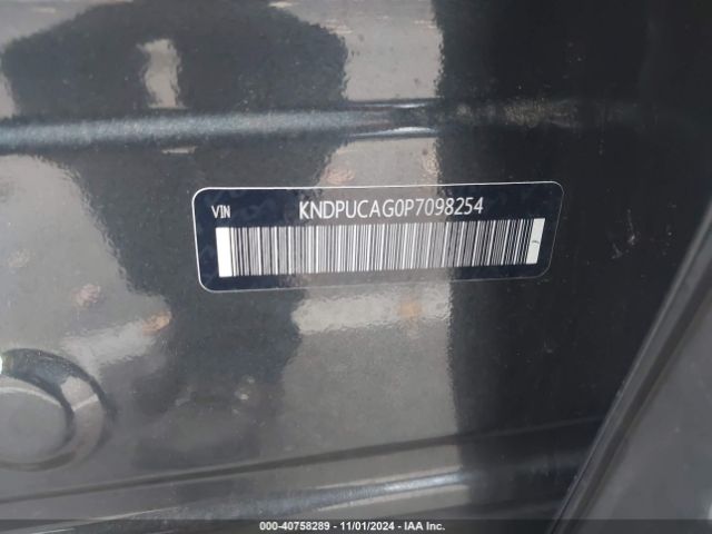 KNDPUCAG0P7098254 KIA Sportage Hybrid Lx