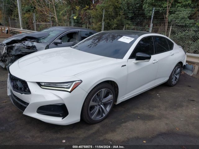 19UUB5F62MA009790 Acura Tlx Advance Package