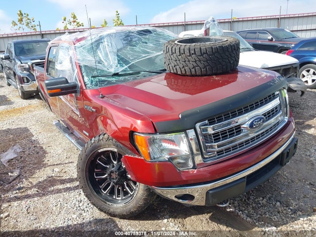 1FTFW1ET5EKE60459 Ford F-150 Xlt