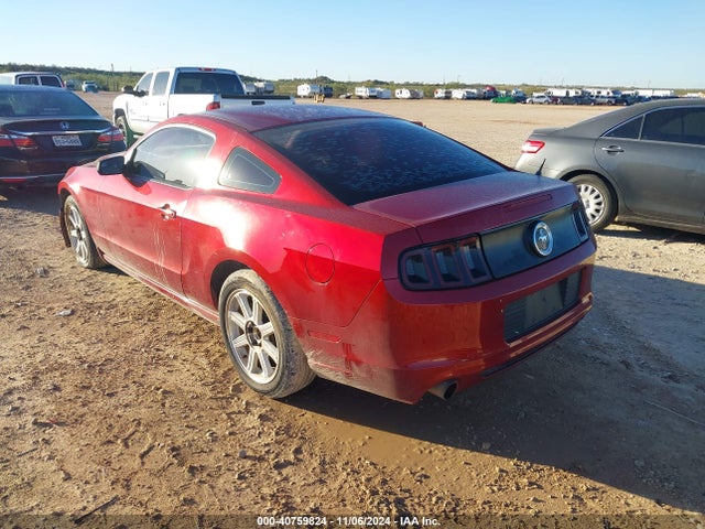 Ford Mustang V6 2014 1ZVBP8AM3E5284414 Image 3