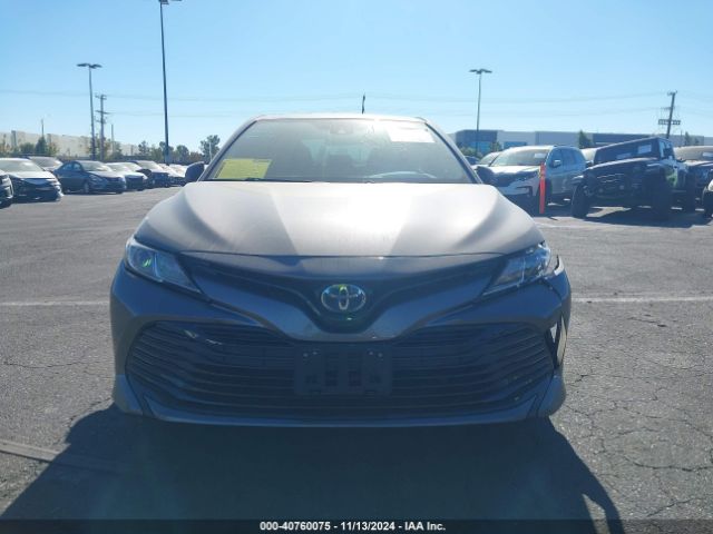4T1C31AK3LU533205 Toyota Camry Le Hybrid