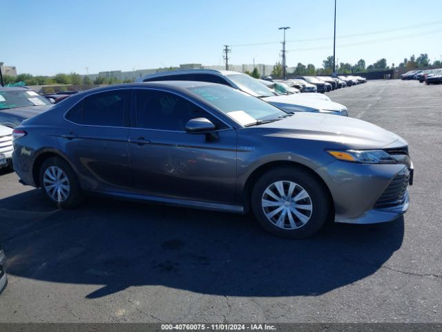 4T1C31AK3LU533205 Toyota Camry Le Hybrid