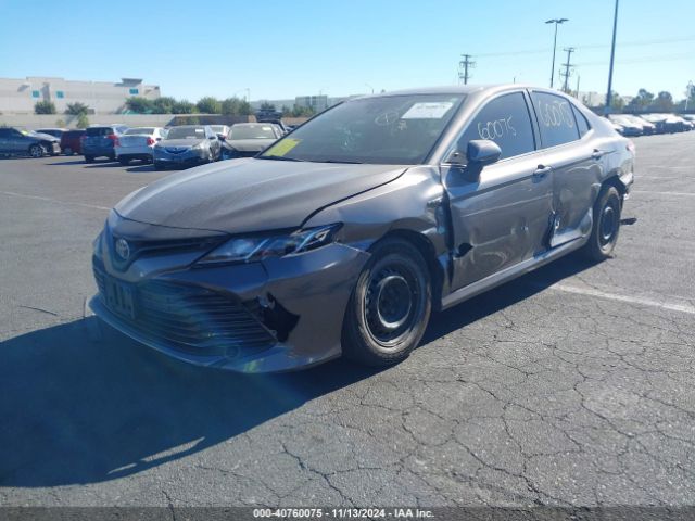 4T1C31AK3LU533205 Toyota Camry Le Hybrid