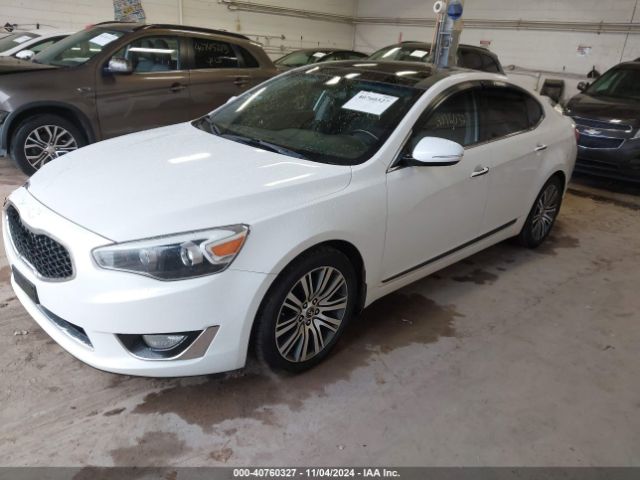 KNALN4D77E5152359 KIA Cadenza Premium