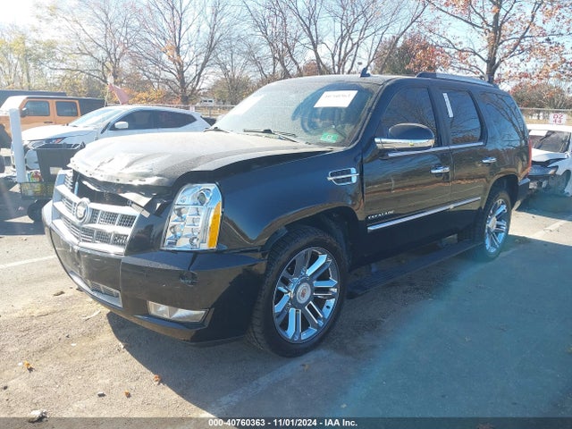 2012 CADILLAC ESCALADE 1GYS4DEF0CR279364 Photo 1