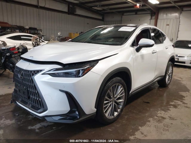 JTJHGCEZ5P5005499 Lexus Nx 350 Luxury