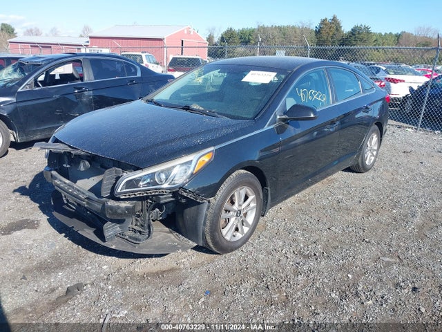 5NPE24AF5HH592617 Hyundai Sonata