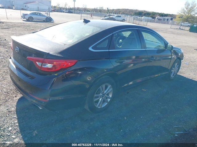 5NPE24AF5HH592617 Hyundai Sonata