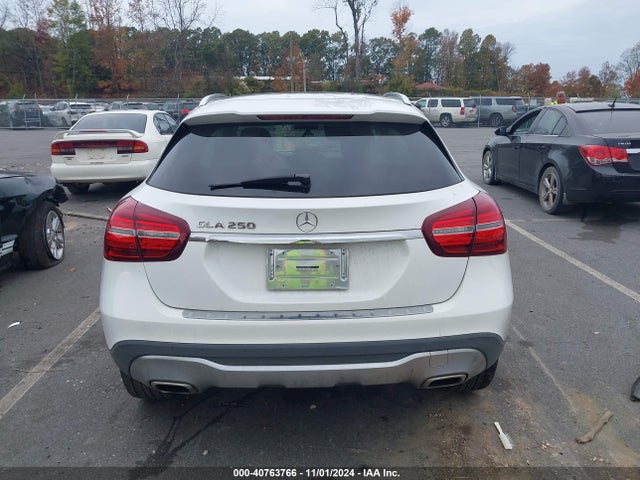 WDCTG4EB1KJ550485 Mercedes-Benz GLA 250