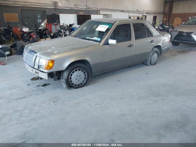 1991 MERCEDES-BENZ 300 WDBED30D3MB549117 Photo 1