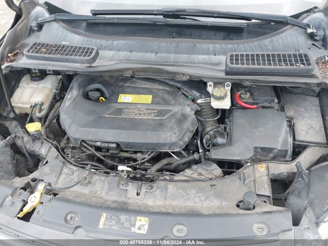 Ford ESCAPE SE 2014 1FMCU0GX6EUA23976 Image 10